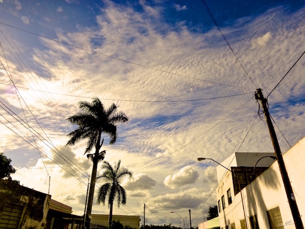 Danza de las Cintas sm